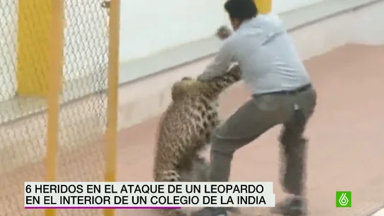 Ataque de un leopardo en un colegio indio Ataque de un leopardo en un colegio indio