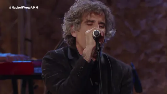 Mikel Erentxun, en A mi manera Mikel Erentxun, en A mi manera