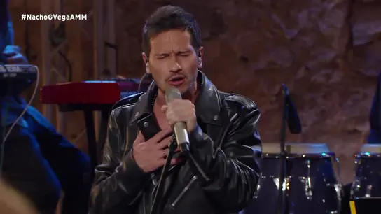 David DeMaría, en A mi manera David DeMaría, en A mi manera