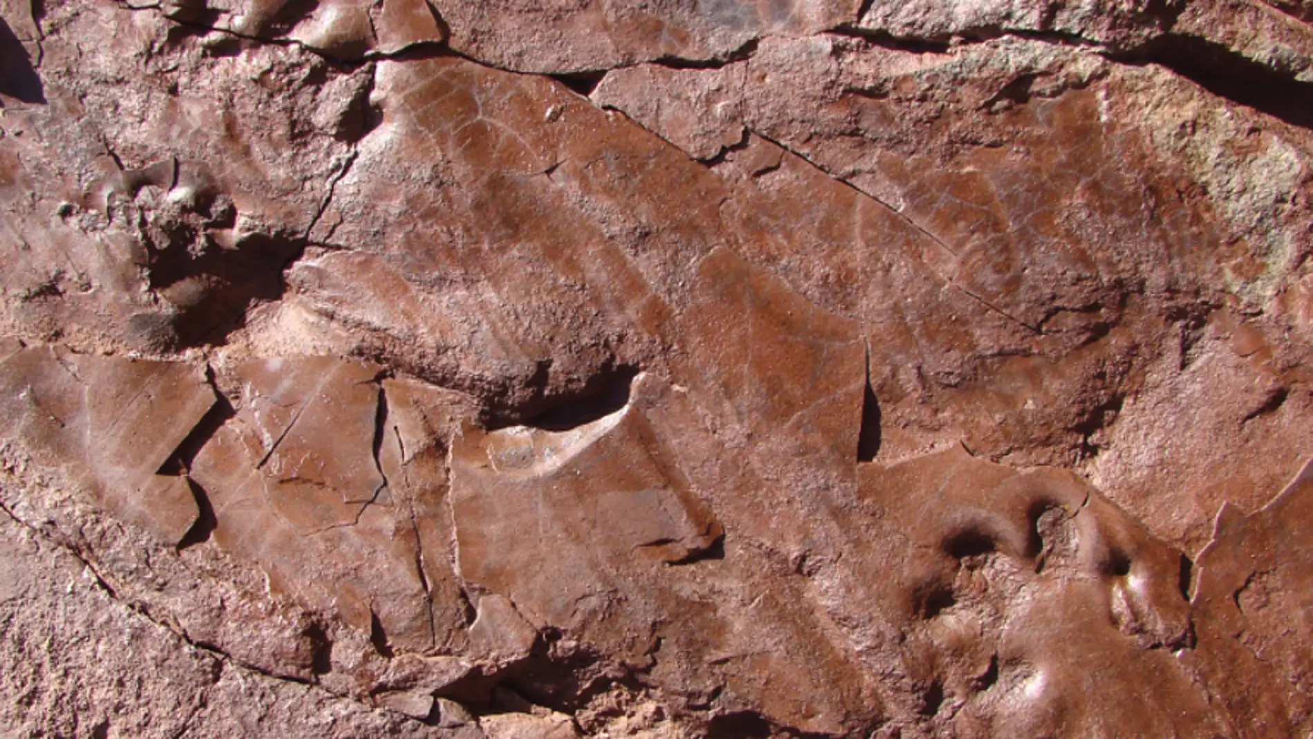 Icinita del Valle de Manyanet