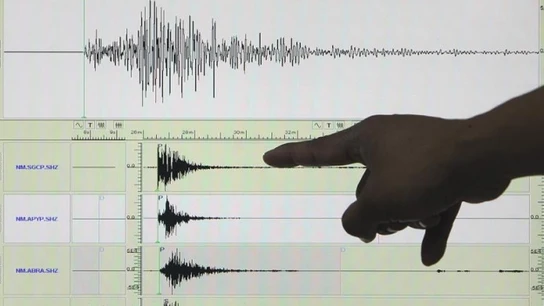 Un sismógrafo en el que aparece registrado un terremoto Un sismógrafo en el que aparece registrado un terremoto