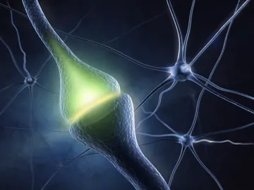 ¿Por qué nuestro cerebro “desconecta” cuando dormimos ¿Por qué nuestro cerebro “desconecta” cuando dormimos