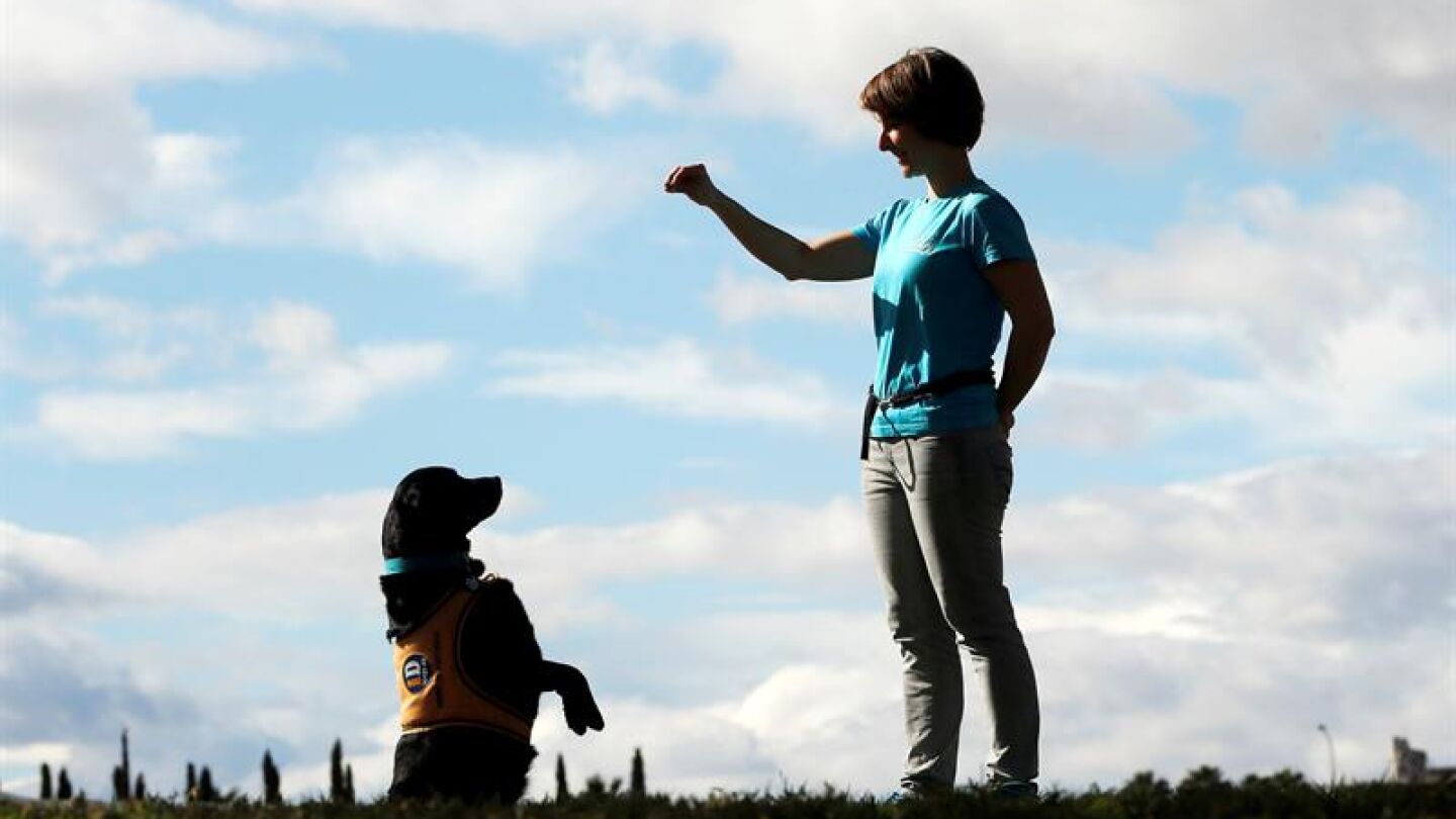 Naroa, la perra que ayuda a v&iacute;ctimas de violencia machista
