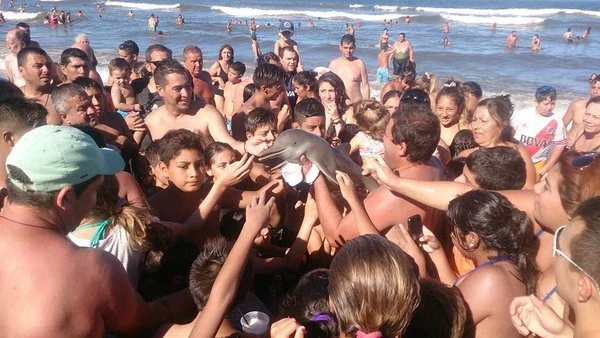 El grupo de turistas haciéndose fotos con el delfín