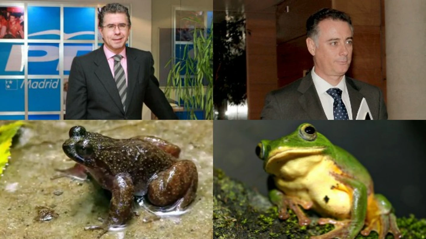 Ranas Granados Ranas Granados