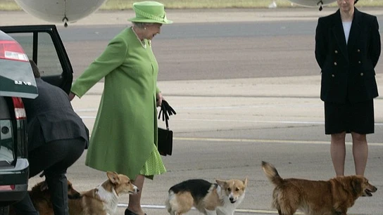 La reina Isabel II con sus perros La reina Isabel II con sus perros