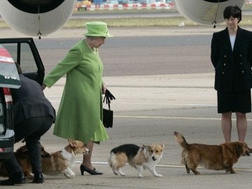 La reina Isabel II con sus perros La reina Isabel II con sus perros