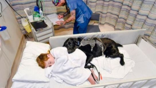 James Isaac duerme en el hospital junto a su perro Mahe
