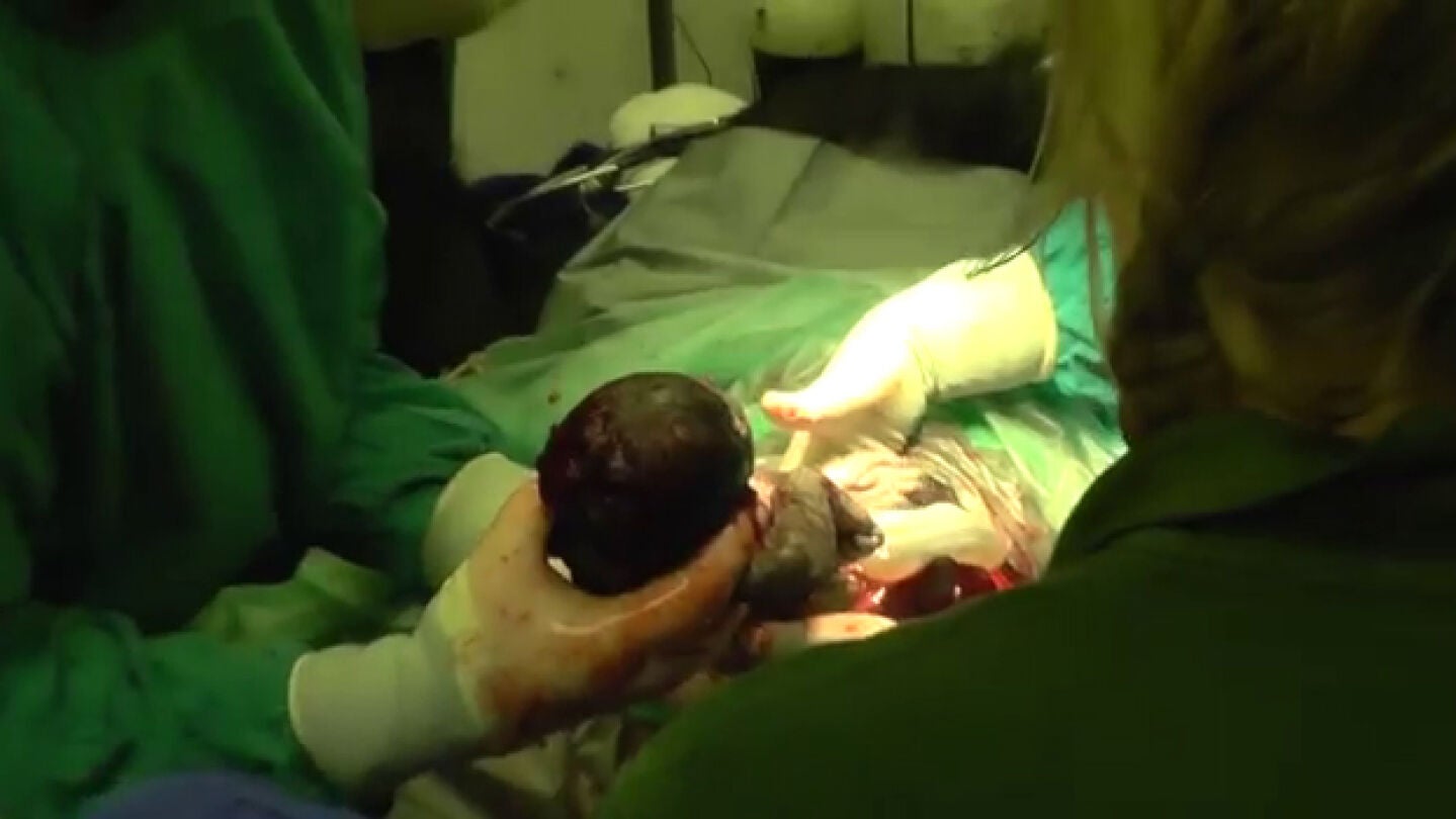 Momento del nacimiento del beb&eacute; gorila