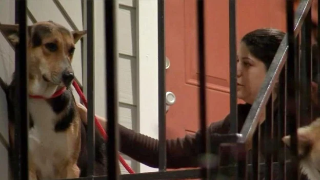 Imagen del animal esperando a su dueño Imagen del animal esperando a su dueño