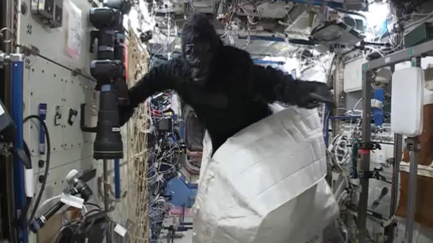 Gorila saliendo de la cajaj en la Estación Espacial Internacional Gorila saliendo de la cajaj en la Estación Espacial Internacional