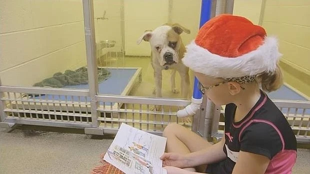 Una niña lee un cuento a un perro del refugio