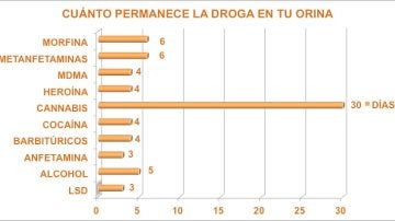 Cuanto tiempo tarda una analitica de sangre
