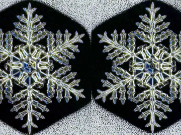 Dos copos de nieve iguales Dos copos de nieve iguales