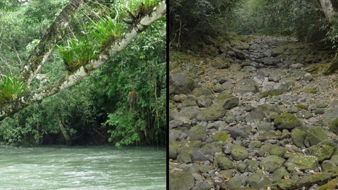 Foto del río antes y después Foto del río antes y después