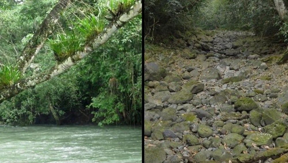 Foto del río antes y después