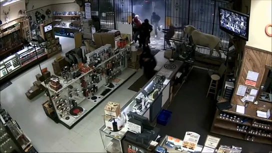 Atraco a una tienda de armas en EEUU Atraco a una tienda de armas en EEUU