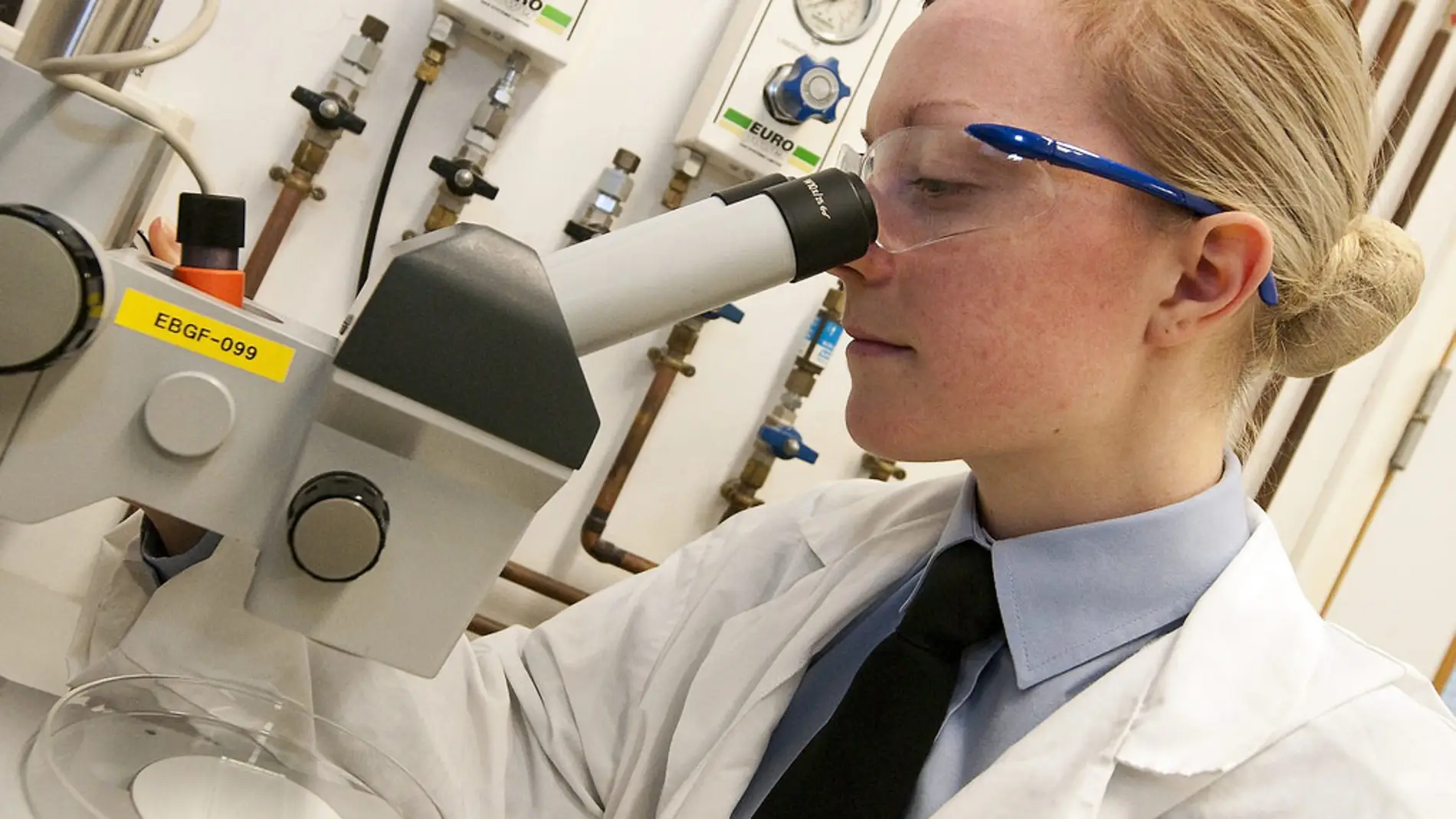 La ciencia desmonta los estereotipos del