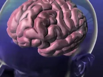 00018 00018