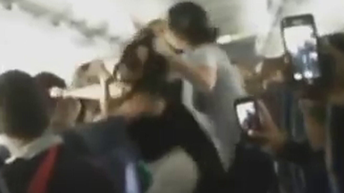 Imagen del momento de la pelea en el avi&oacute;n