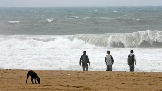 Varios jóvenes y un perro en la orilla de la playa de la Barceloneta. Varios jóvenes y un perro en la orilla de la playa de la Barceloneta.