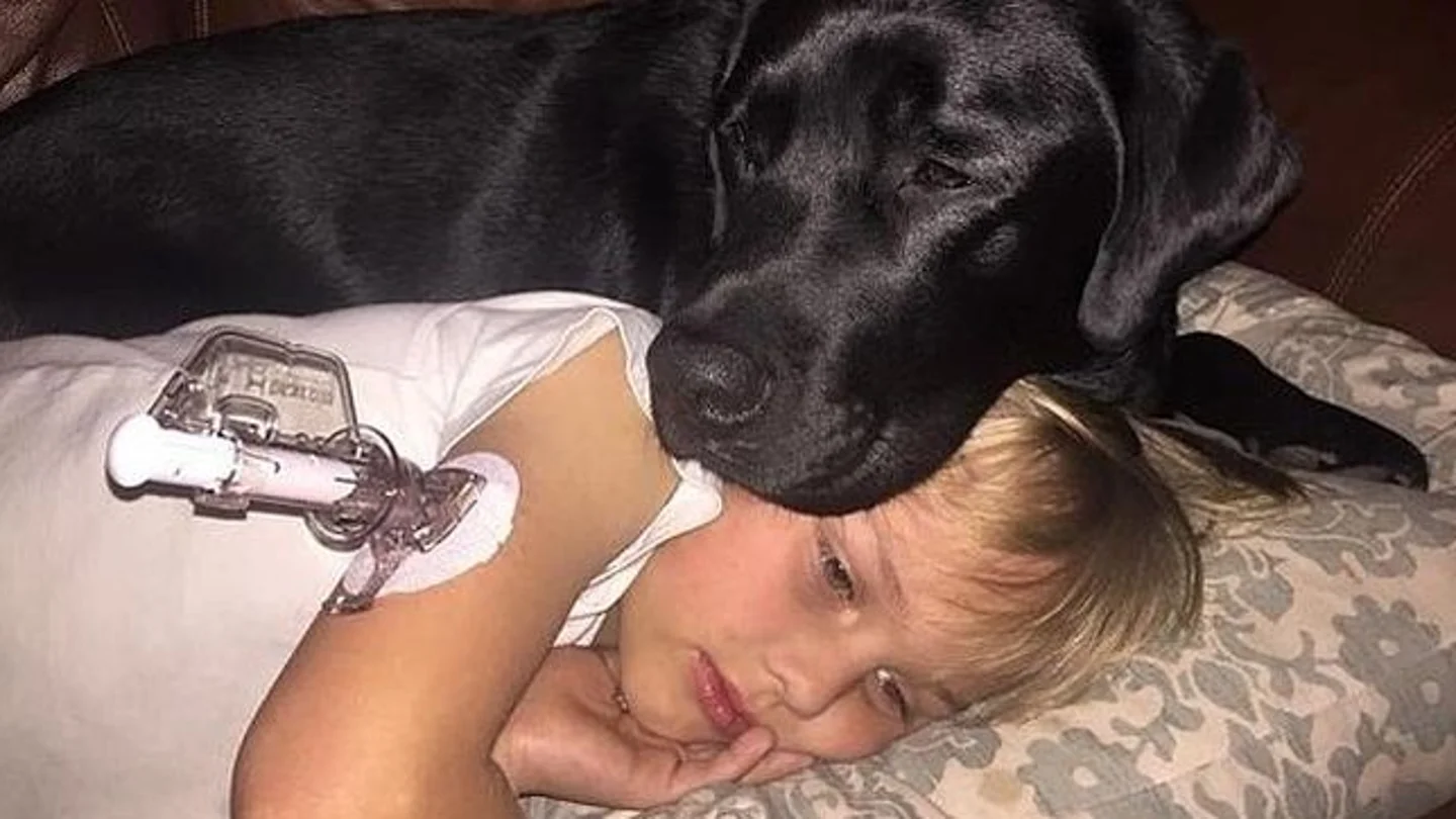 Luke junto a su perro Jedi Luke junto a su perro Jedi