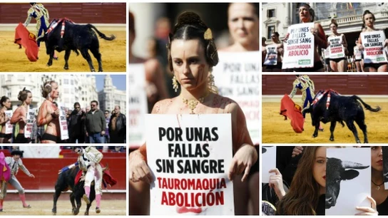 Taurinos y antitaurinos se enfrentan en las Fallas de Valencia Taurinos y antitaurinos se enfrentan en las Fallas de Valencia