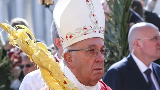 El papa Francisco durante el Domingo de Ramos El papa Francisco durante el Domingo de Ramos
