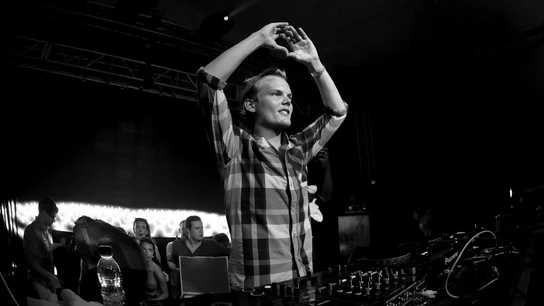 Avicii Avicii