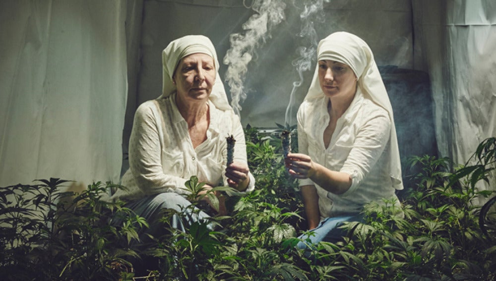 Imagen de las monjas con el cultivo de marihuana