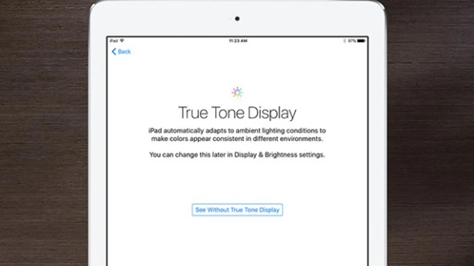 iPad Pro True Tone