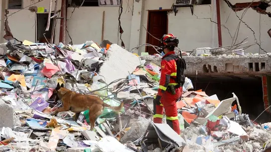 El equipo de la UME en Ecuador El equipo de la UME en Ecuador
