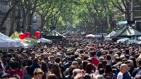 Sant Jordi 2016 Sant Jordi 2016