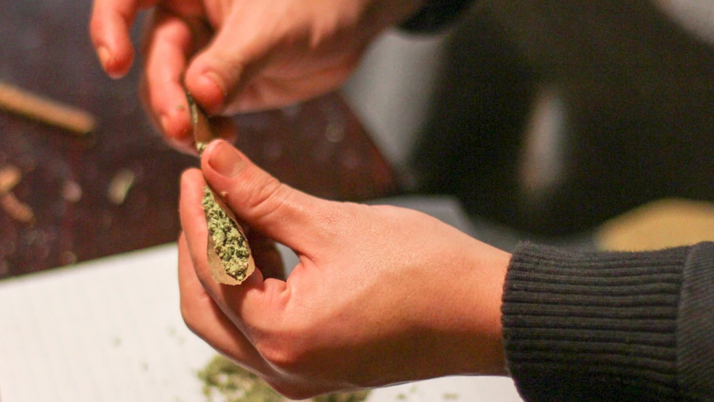 Cannabis Cannabis