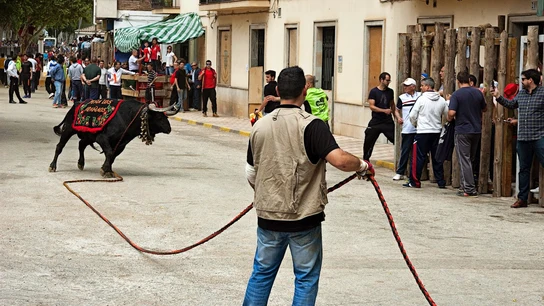 Encierro en Beas de Segura Beas de Segura
