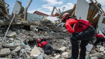 Equipos de rescate busca supervivientes en Ecuador