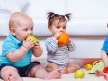 Varios bebés comiendo fruta Varios bebés comiendo fruta