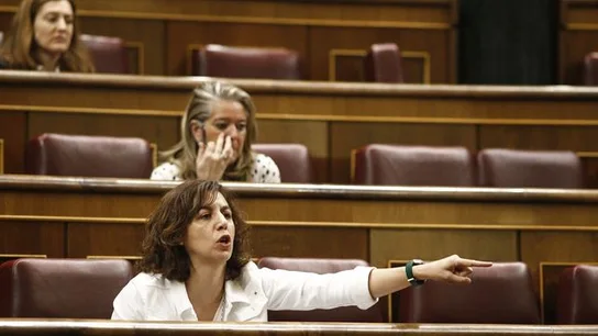 Irene Lozano en el Congreso Irene Lozano en el Congreso
