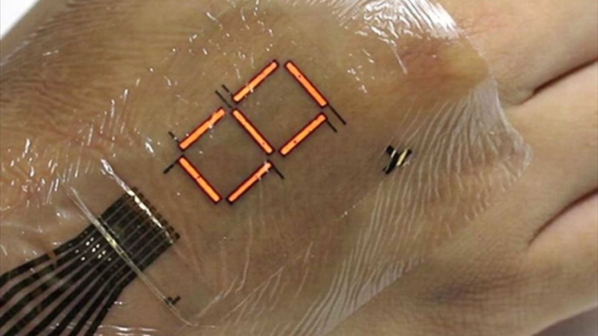 Piel que sirve de pantalla