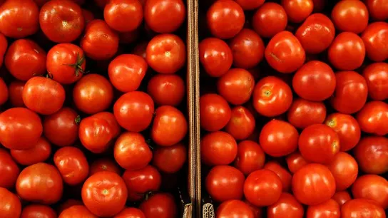 Confirman la presencia de etefón en tomates tras una alerta sanitaria Confirman la presencia de etefón en tomates tras una alerta sanitaria