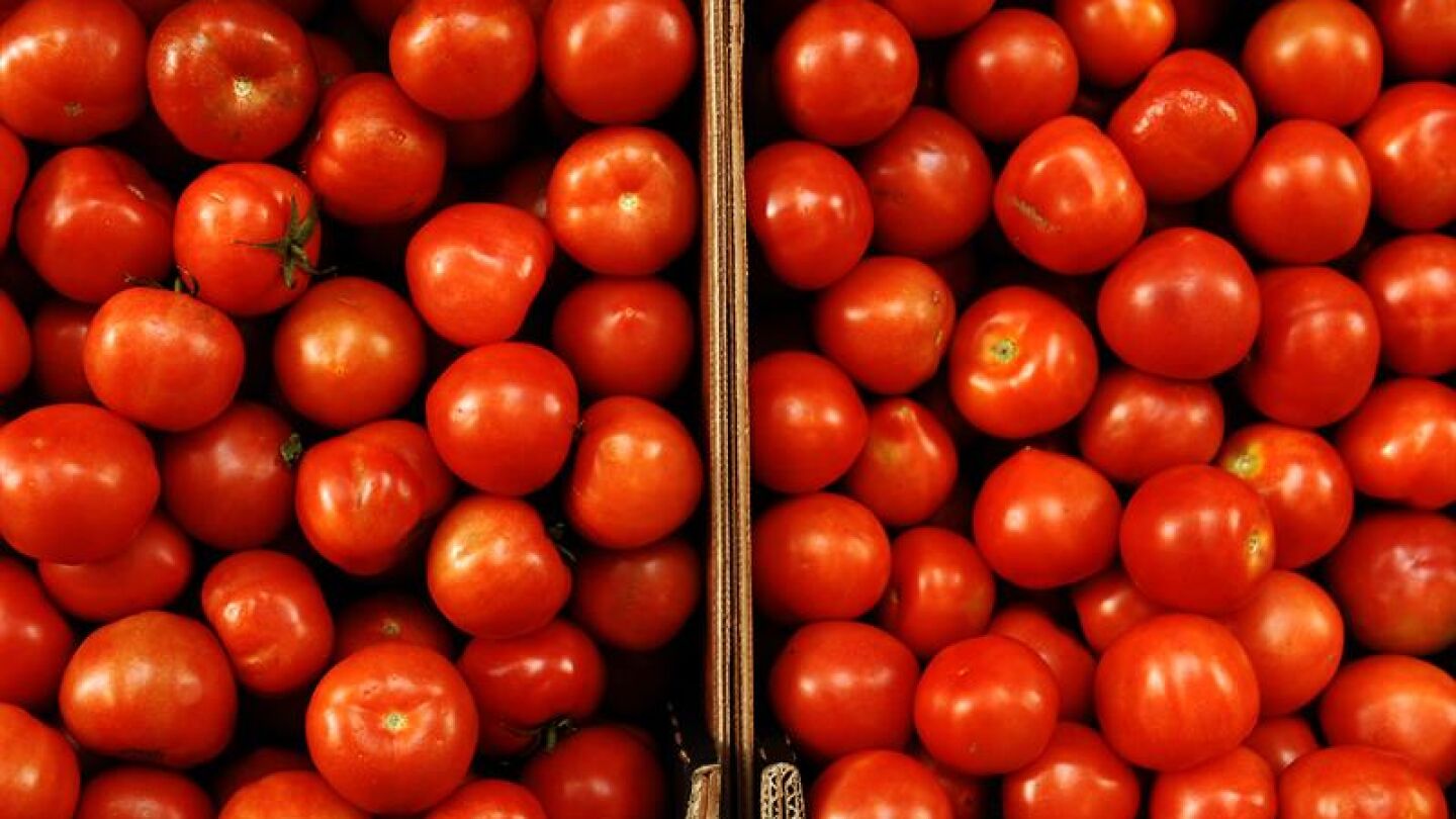  Confirman la presencia de etef&oacute;n en tomates tras una alerta sanitaria