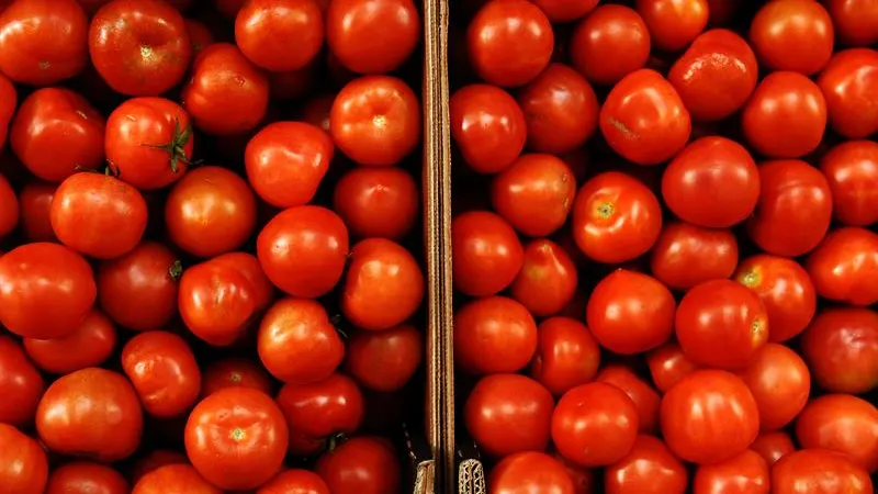 Confirman la presencia de etefón en tomates tras una alerta sanitaria Confirman la presencia de etefón en tomates tras una alerta sanitaria