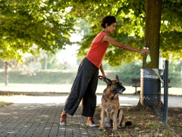 Mujer recogiendo las cacas de su perro Mujer recogiendo las cacas de su perro
