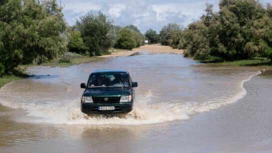 Un veh&iacute;culo intenta cruzar en la zona del Puente del Rey, en Huelva