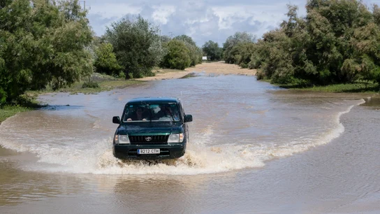 Un vehículo intenta cruzar en la zona del Puente del Rey, en Huelva Un vehículo intenta cruzar en la zona del Puente del Rey, en Huelva