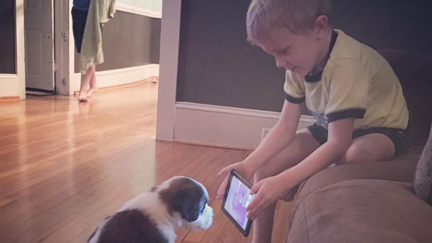 Lincoln 'adiestra' a su perro con tutoriales de YouTube