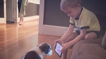 Lincoln 'adiestra' a su perro con tutoriales de YouTube