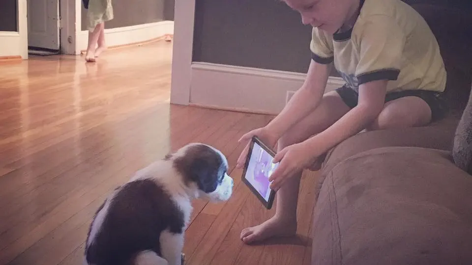 Lincoln 'adiestra' a su perro con tutoriales de YouTube