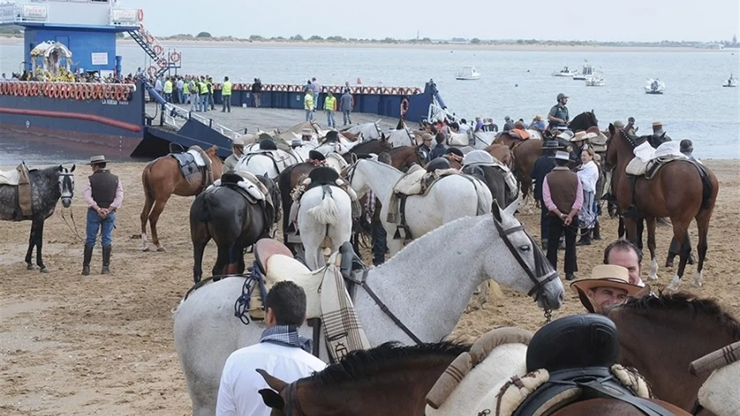 Caballos en la romería del Rocío Caballos en la romería del Rocío