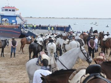Caballos en la romería del Rocío Caballos en la romería del Rocío